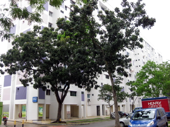 Blk 662 Hougang Avenue 4 (Hougang), HDB 4 Rooms #240392